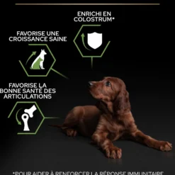 Pro Plan Healthy Start Large Athletic Puppy au poulet - croquettes chiot