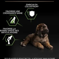 Pro Plan Healthy Start Large Robust Puppy au poulet - croquettes chiot
