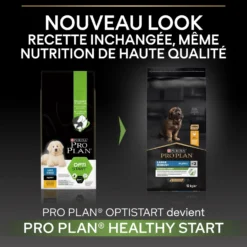 Pro Plan Healthy Start Large Robust Puppy au poulet - croquettes chiot