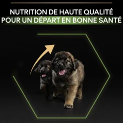 Pro Plan Healthy Start Large Robust Puppy au poulet - croquettes chiot