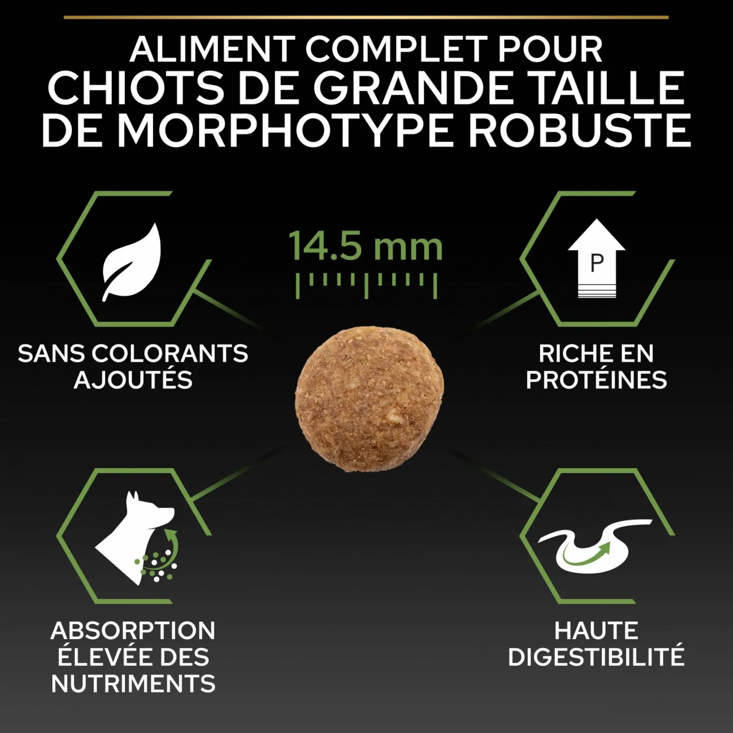 Pro Plan Healthy Start Large Robust Puppy au poulet - croquettes chiot