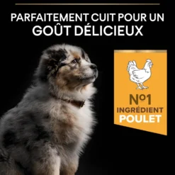 PRO PLAN Healthy Start Medium Puppy au Poulet - Croquettes pour chien