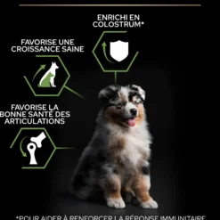 PRO PLAN Healthy Start Medium Puppy au Poulet - Croquettes pour chien