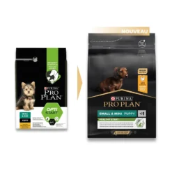 PRO PLAN Healthy Start Small & Mini Puppy au Poulet - Croquettes pour chien