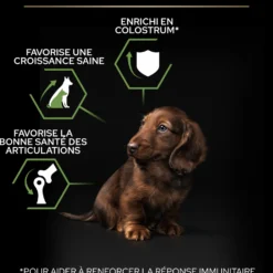 PRO PLAN Healthy Start Small & Mini Puppy au Poulet - Croquettes pour chien