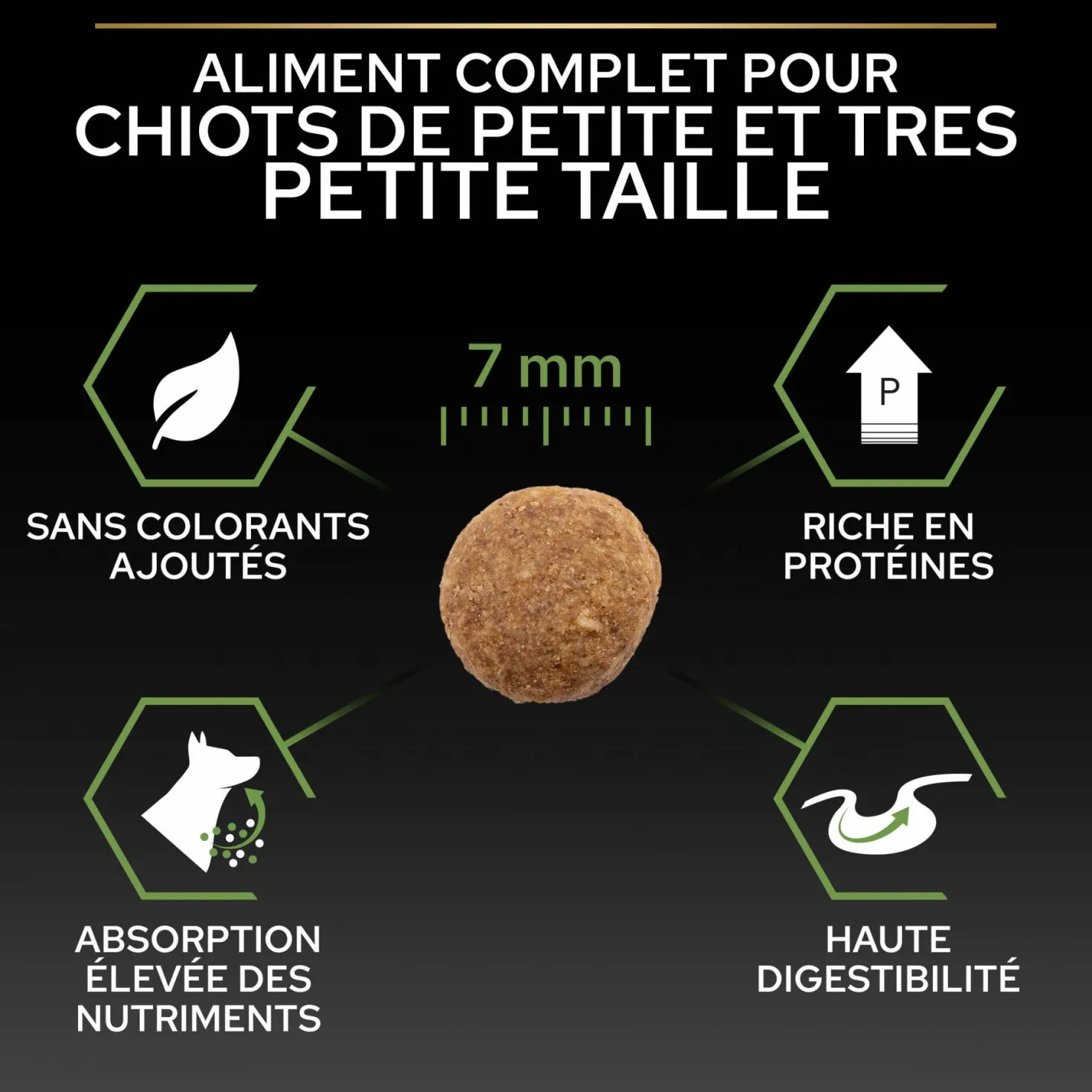 PRO PLAN Healthy Start Small & Mini Puppy au Poulet - Croquettes pour chien