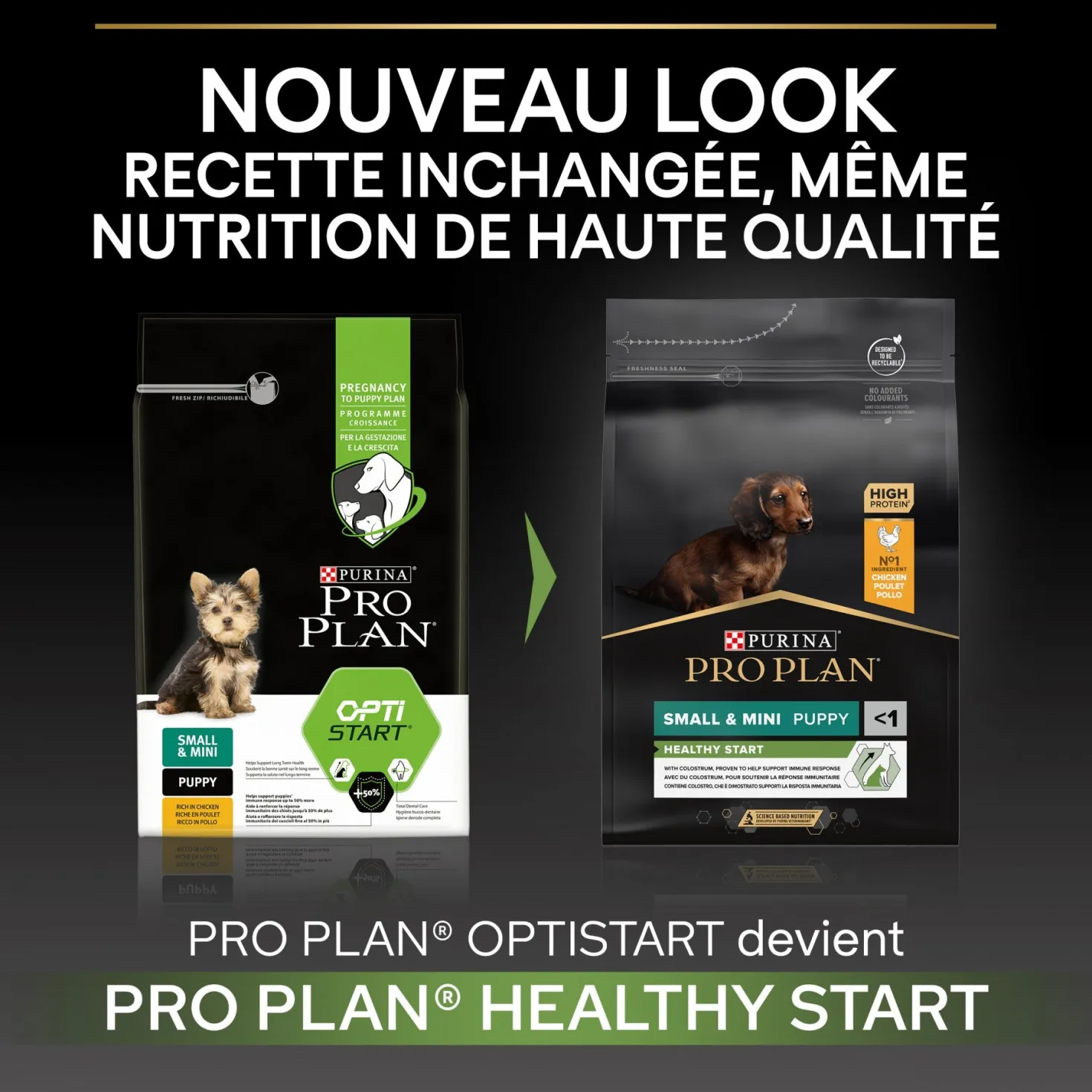 PRO PLAN Healthy Start Small & Mini Puppy au Poulet - Croquettes pour chien