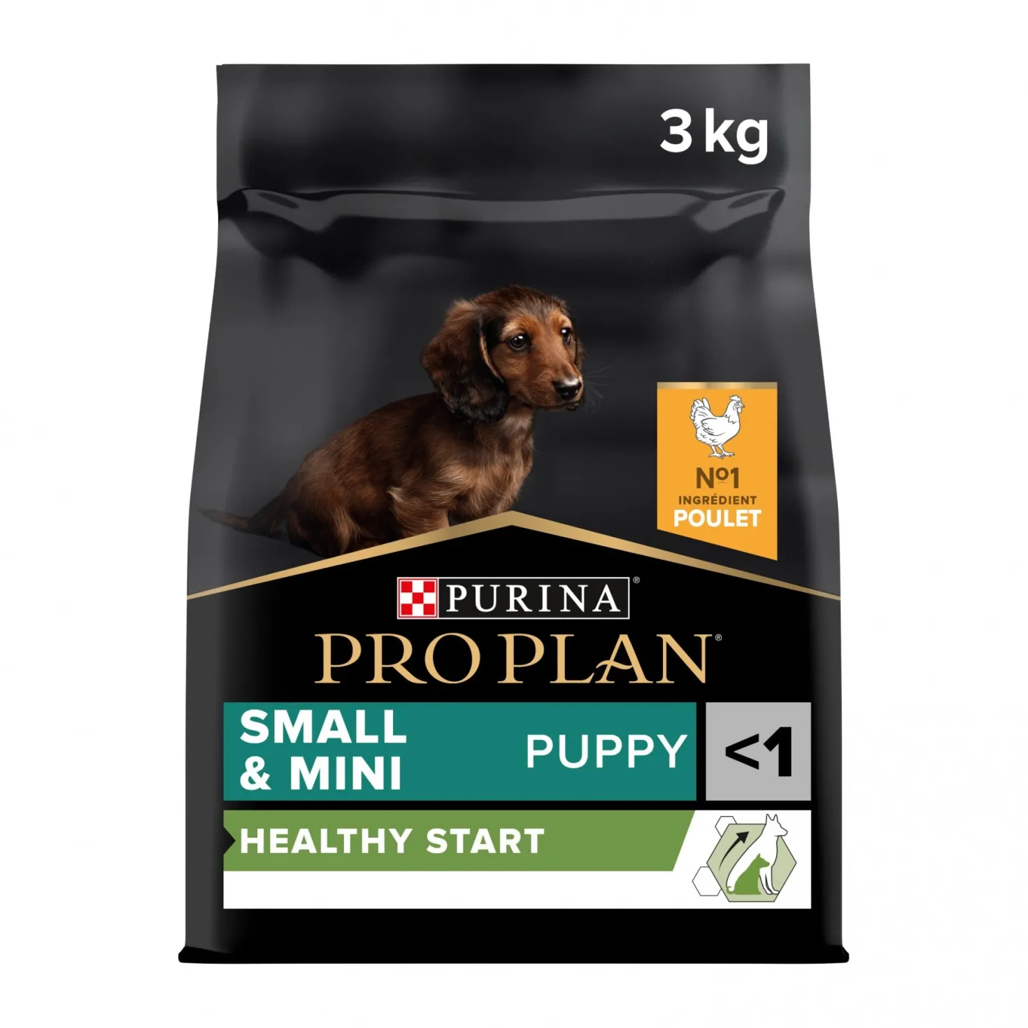 PRO PLAN Healthy Start Small & Mini Puppy au Poulet - Croquettes pour chien