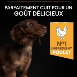 PRO PLAN Healthy Start Small & Mini Puppy au Poulet - Croquettes pour chien