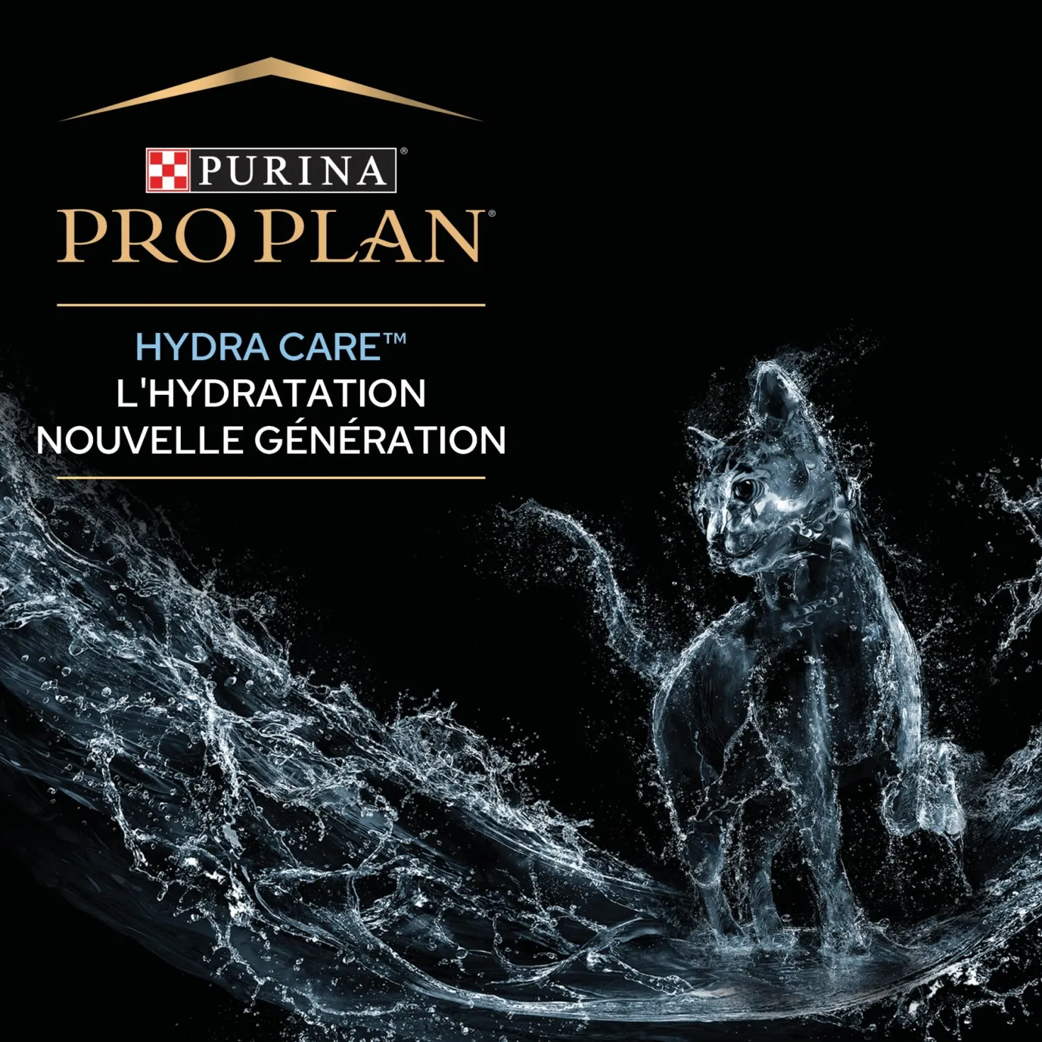 Pro Plan Hydra Care chat