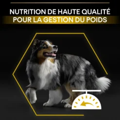 Pro Plan Light/Sterilised All Sizes Adult au poulet - croquettes chien