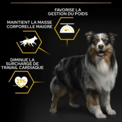 Pro Plan Light/Sterilised All Sizes Adult au poulet - croquettes chien