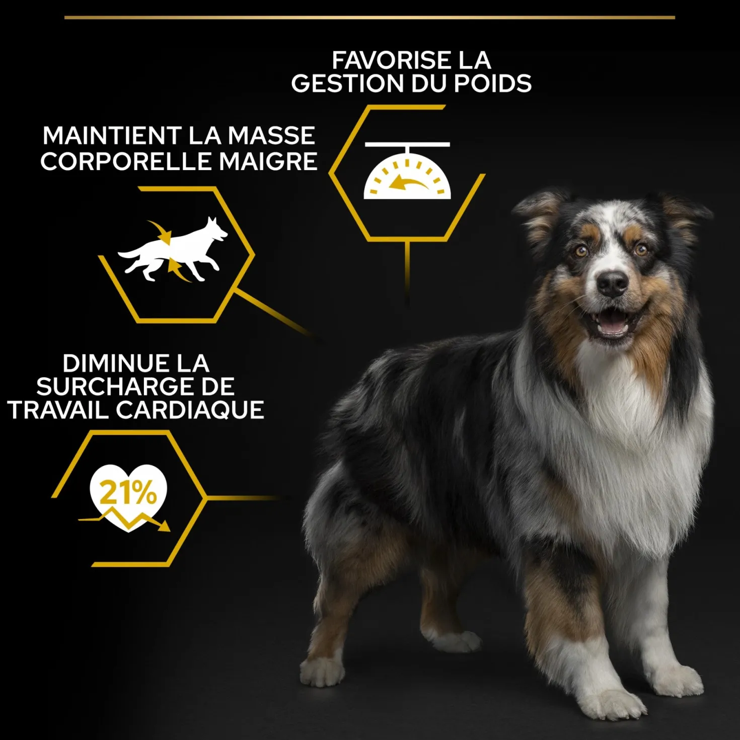 Pro Plan Light/Sterilised All Sizes Adult au poulet - croquettes chien