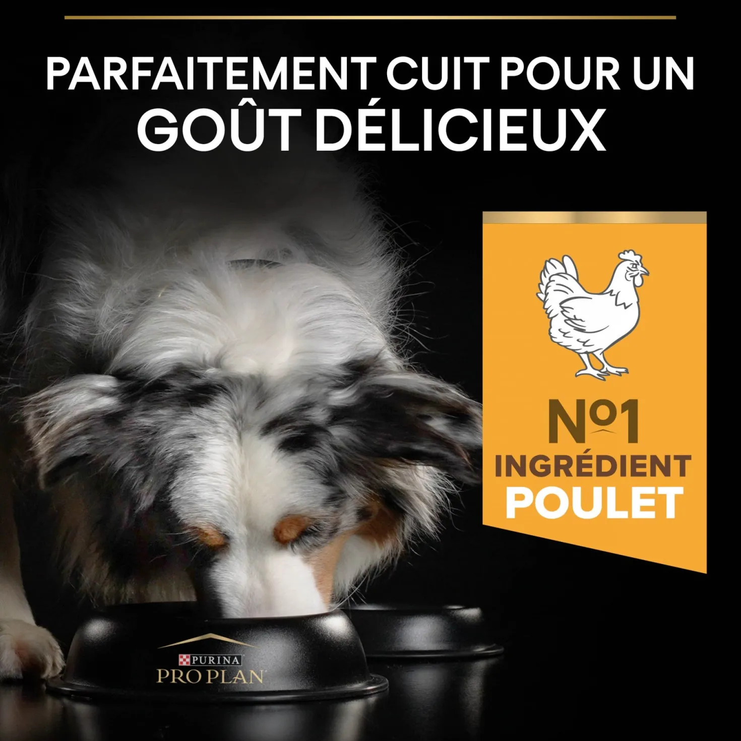 Pro Plan Light/Sterilised All Sizes Adult au poulet - croquettes chien
