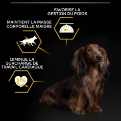Pro Plan Light/Sterilised Small & Mini Adult au poulet - croquettes chien