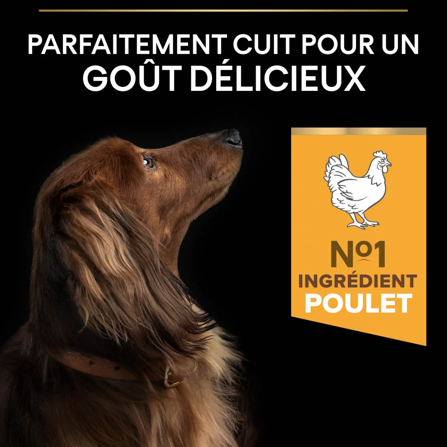 Pro Plan Light/Sterilised Small & Mini Adult au poulet - croquettes chien