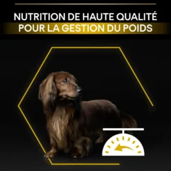Pro Plan Light/Sterilised Small & Mini Adult au poulet - croquettes chien