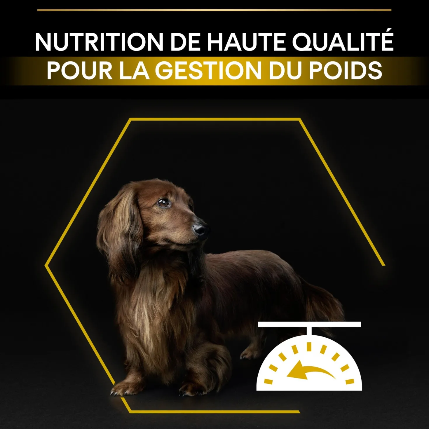 Pro Plan Light/Sterilised Small & Mini Adult au poulet - croquettes chien