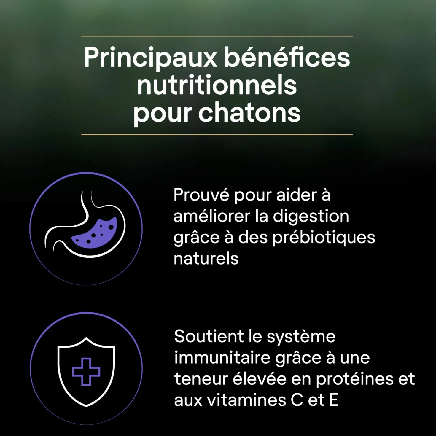 Pro Plan LiveClear Kitten à la dinde - croquettes chaton