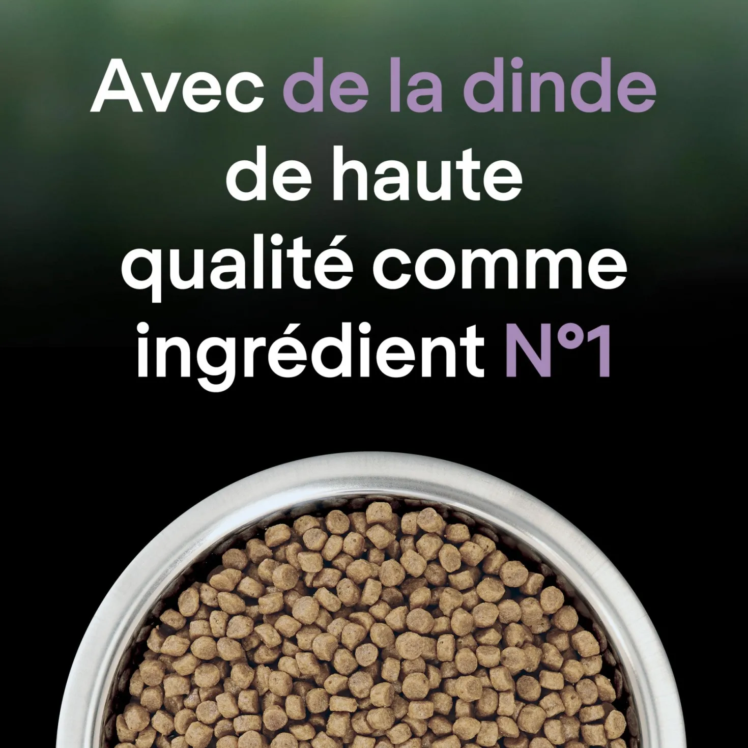 Pro Plan LiveClear Kitten à la dinde - croquettes chaton