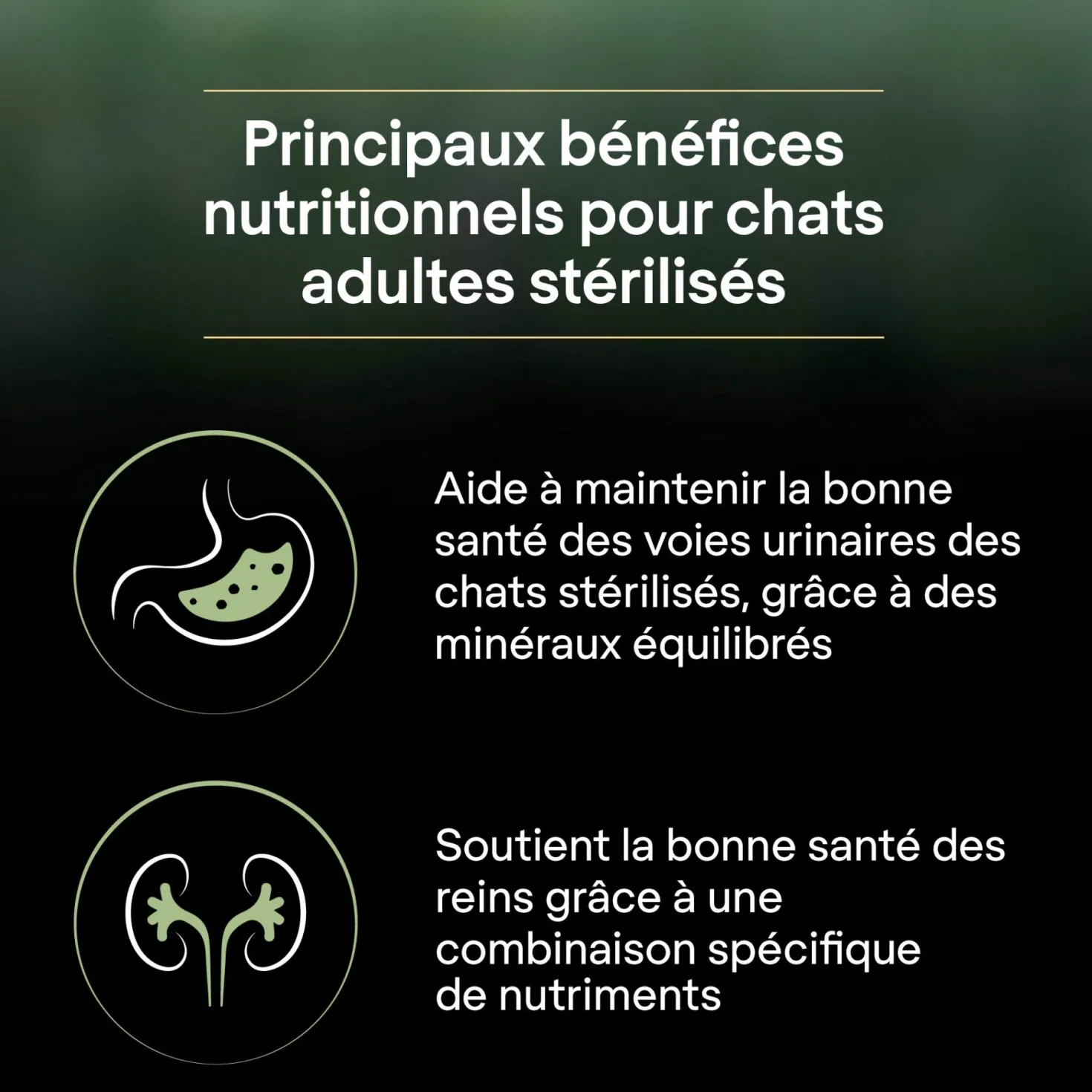 PRO PLAN LiveClear Sterilised Adult à la Dinde - Croquettes pour chat