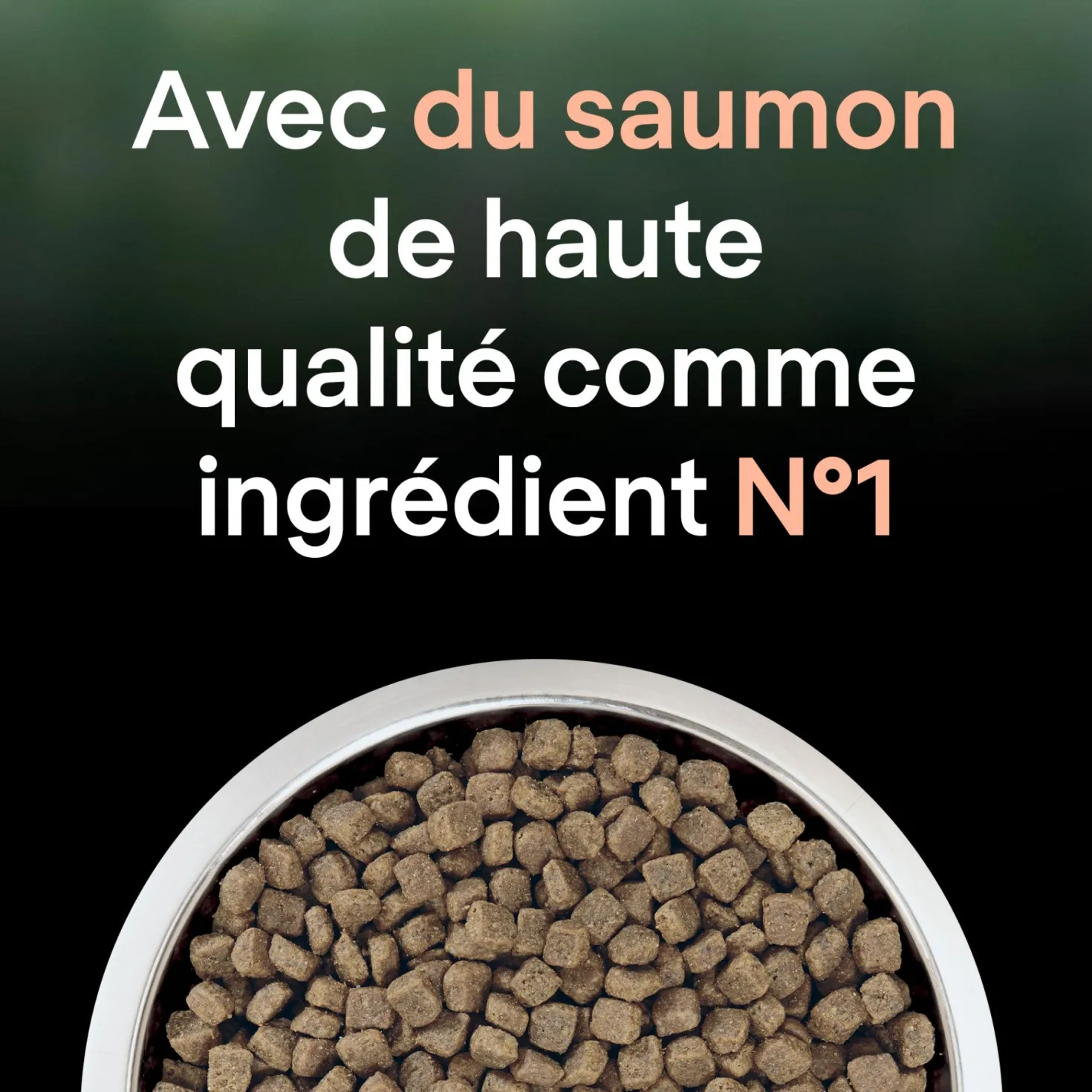 PRO PLAN LiveClear Sterilised Adult au Saumon - Croquettes pour chat