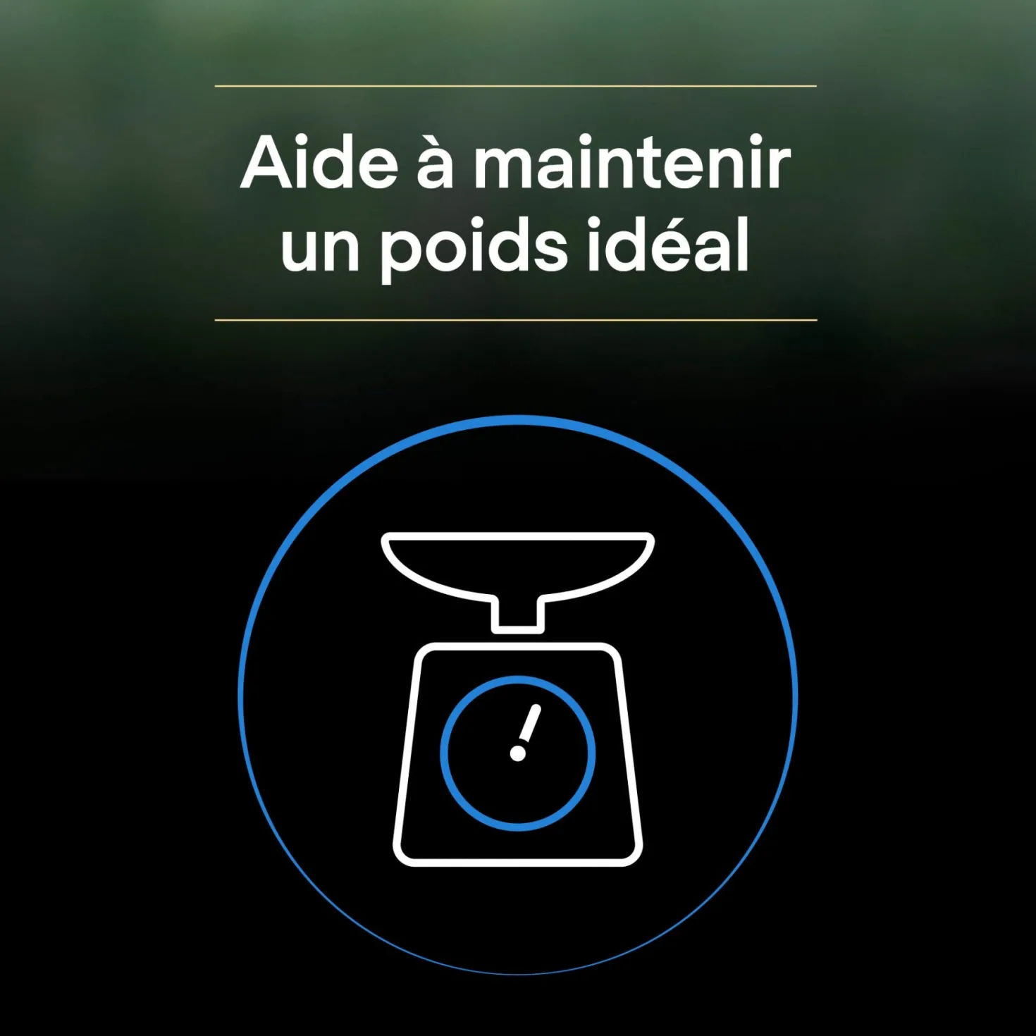 Pro Plan LiveClear Sterilised senior à la dinde - croquettes chat