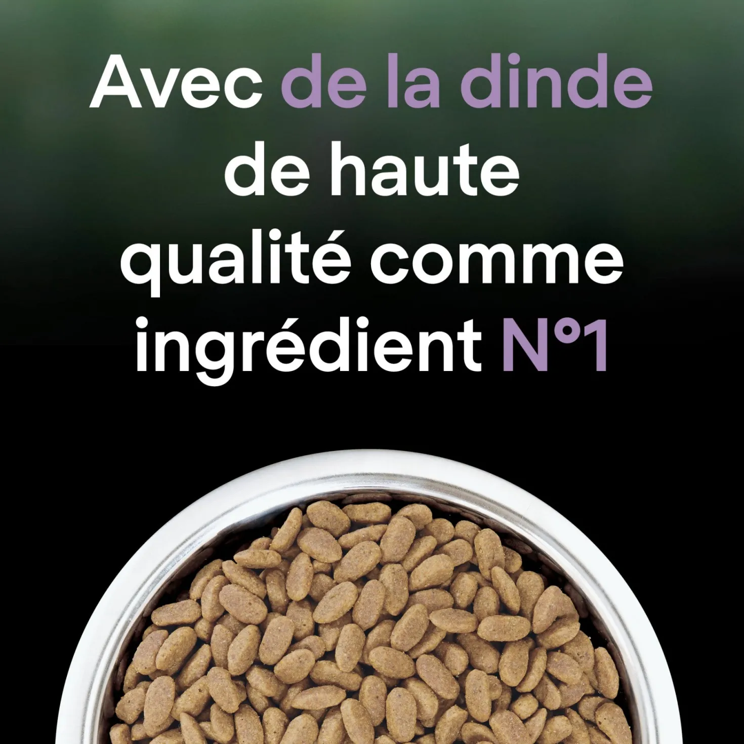 Pro Plan LiveClear Sterilised senior à la dinde - croquettes chat