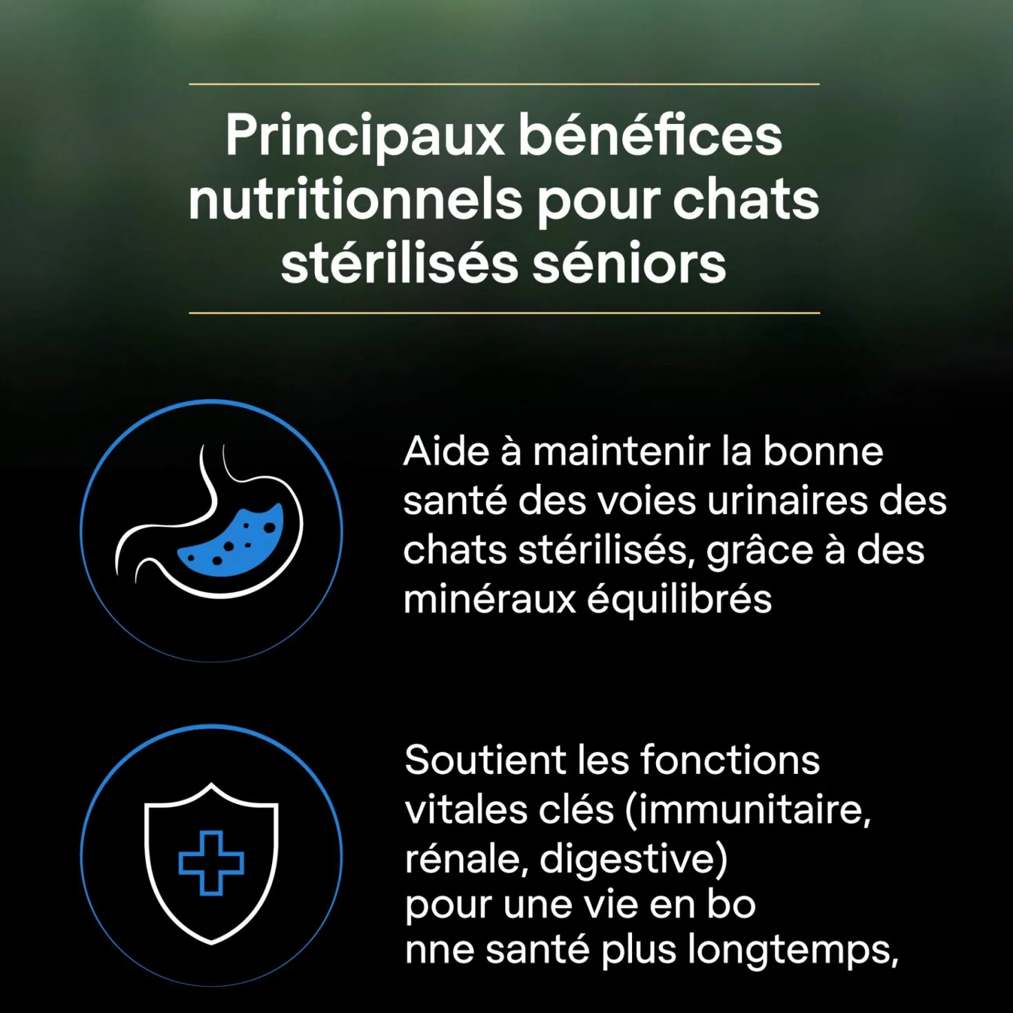 Pro Plan LiveClear Sterilised senior à la dinde - croquettes chat