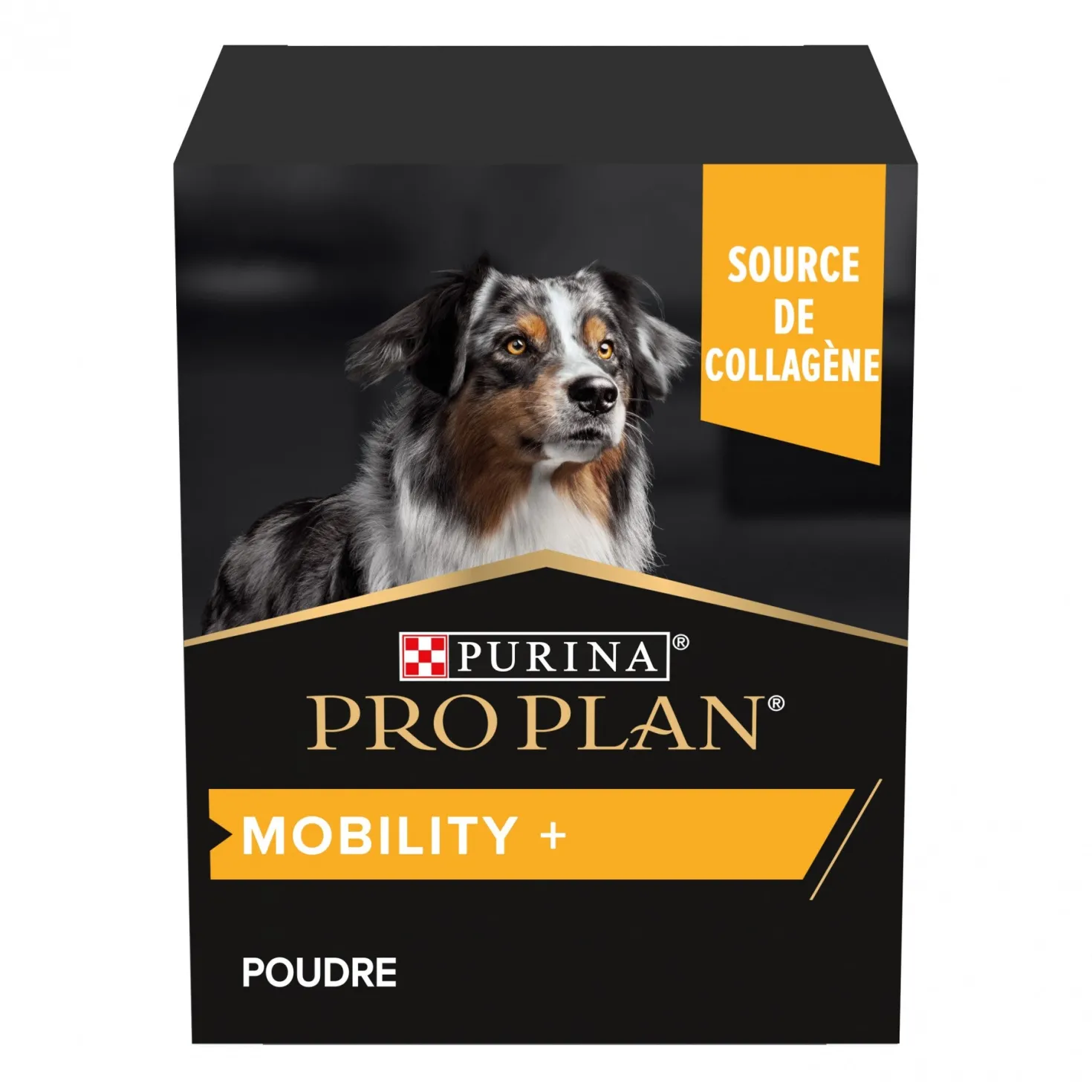 Pro Plan Mobility+ aliment complémentaire en poudre chien