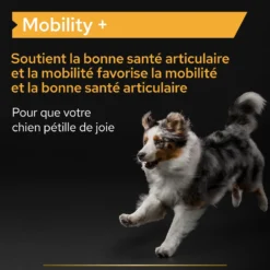 Pro Plan Mobility+ aliment complémentaire en poudre chien