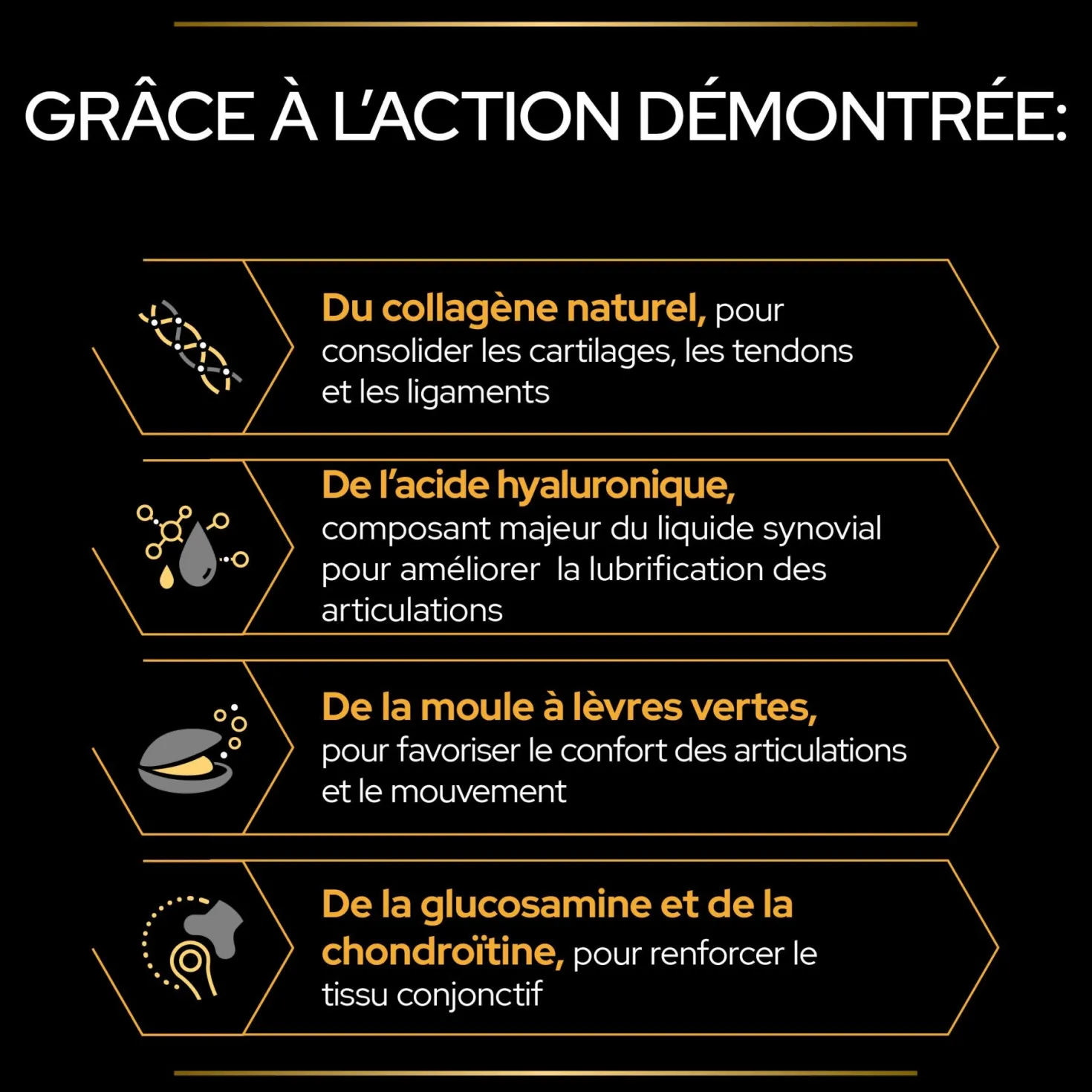 Pro Plan Mobility+ aliment complémentaire en poudre chien