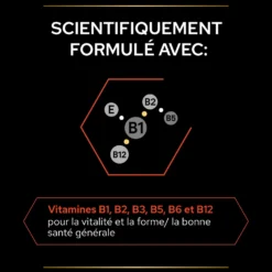 Pro Plan Multi Vitamins+ en comprimés chien