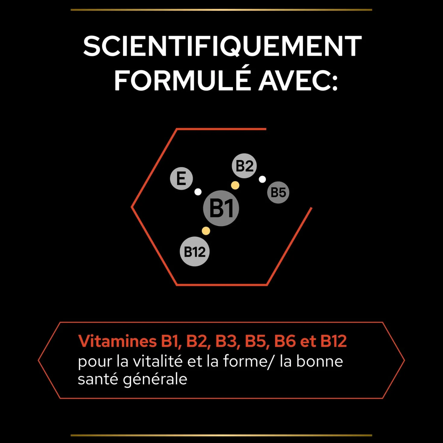 Pro Plan Multi Vitamins+ en comprimés chien