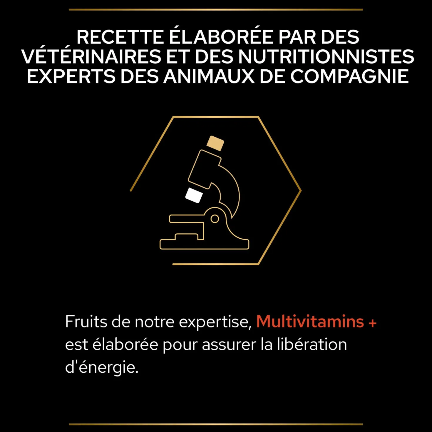 Pro Plan Multi Vitamins+ en comprimés chien