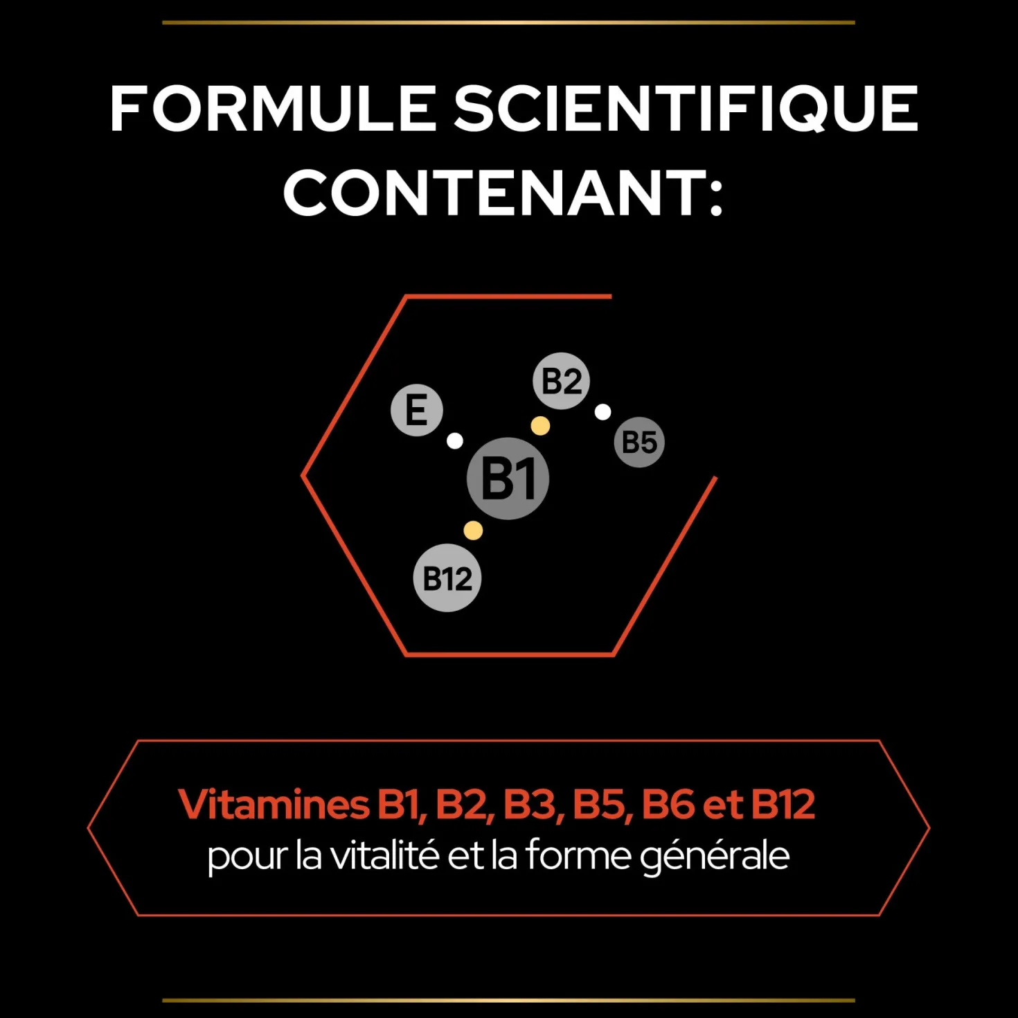 PRO PLAN Multi Vitamins+ en poudre - Aliment complémentaire pour chat