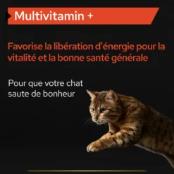 PRO PLAN Multi Vitamins+ en poudre - Aliment complémentaire pour chat