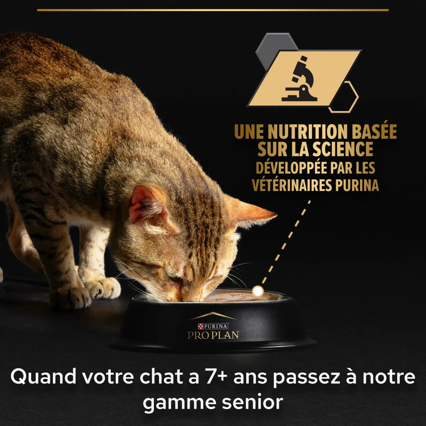 Pro Plan Nutrisavour Sterilised en mousse - pâtée chat