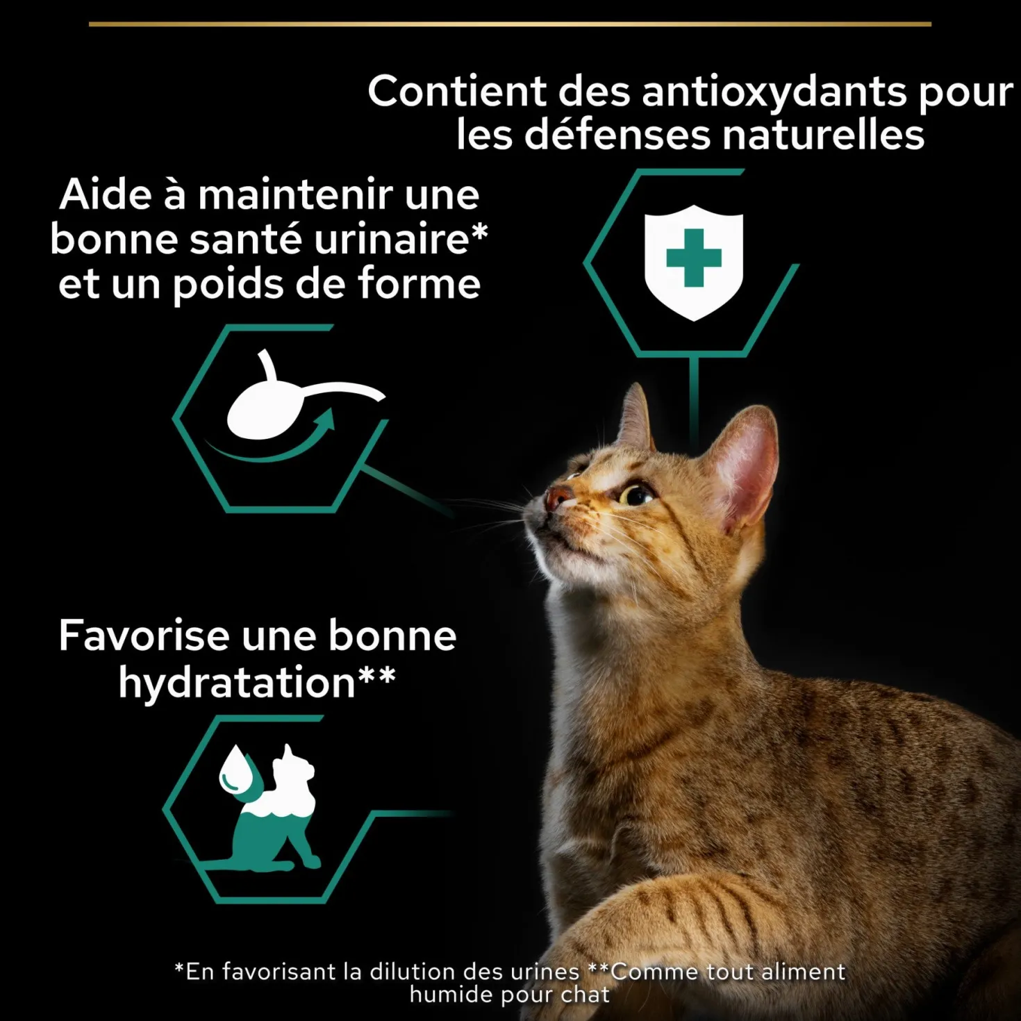 Pro Plan Nutrisavour Sterilised en mousse - pâtée chat