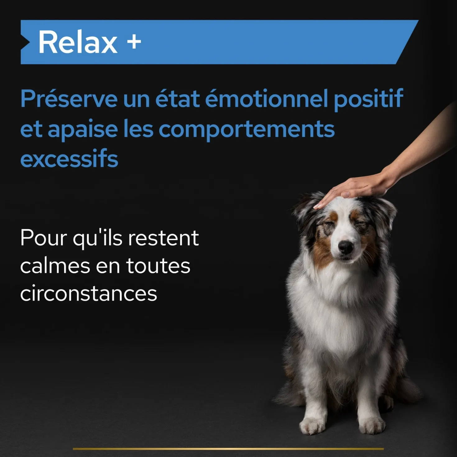 Pro Plan Relax+ en huile chien