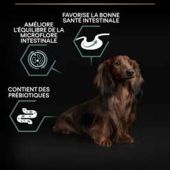Pro Plan Sensitive Digestion Small & Mini Adult à l'agneau - croquettes chien