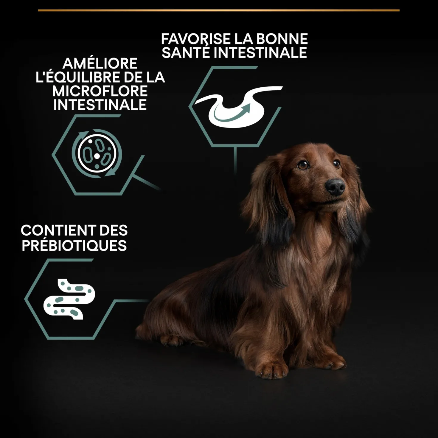 Pro Plan Sensitive Digestion Small & Mini Adult à l'agneau - croquettes chien