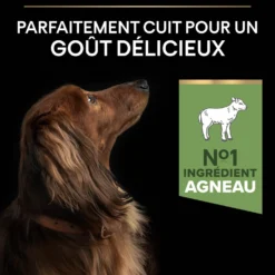 Pro Plan Sensitive Digestion Small & Mini Adult à l'agneau - croquettes chien