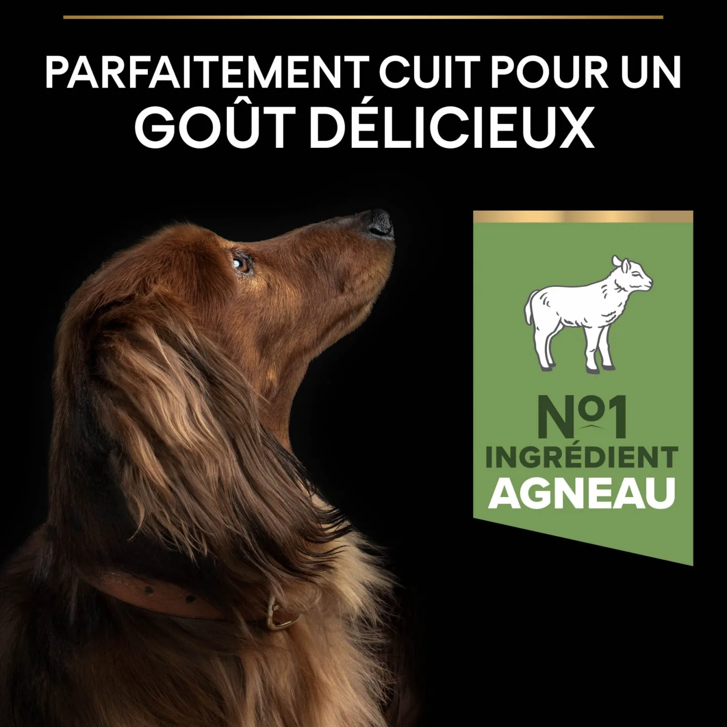Pro Plan Sensitive Digestion Small & Mini Adult à l'agneau - croquettes chien