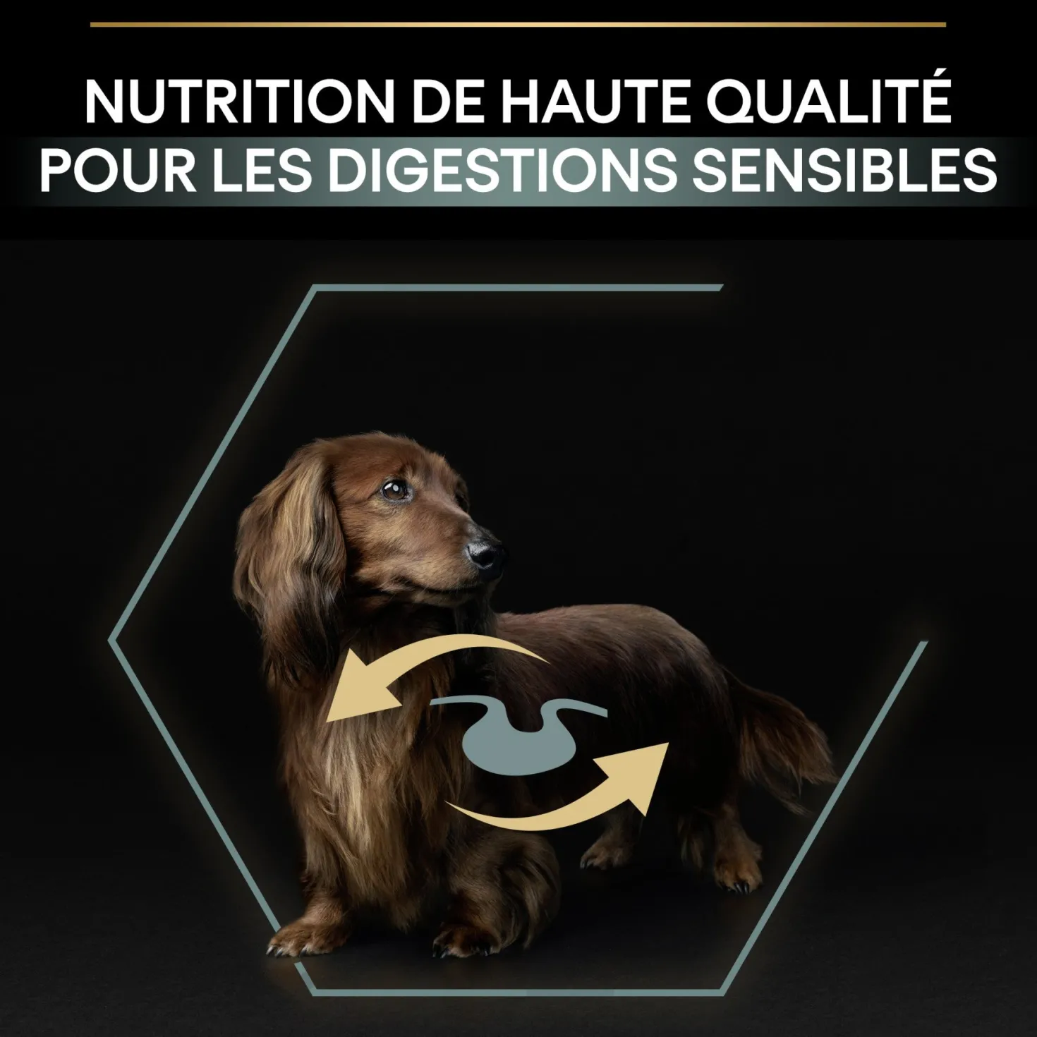Pro Plan Sensitive Digestion Small & Mini Adult à l'agneau - croquettes chien