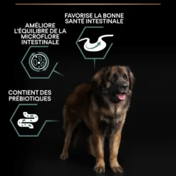 Pro Plan Sensitive Digestion Large Robust Adult à l'agneau - croquettes chien