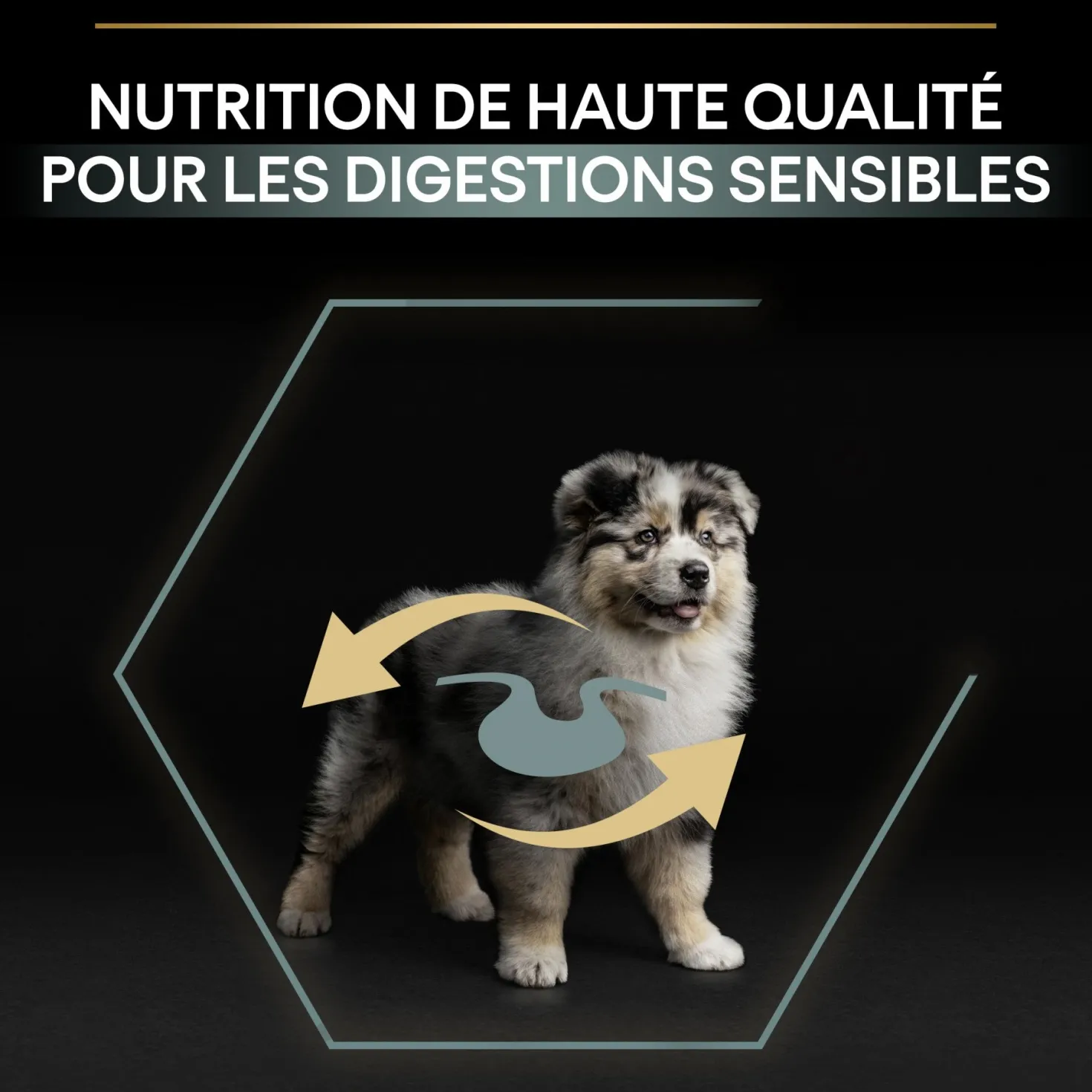 Pro Plan Sensitive Digestion Medium Puppy à l'agneau - croquettes chiot