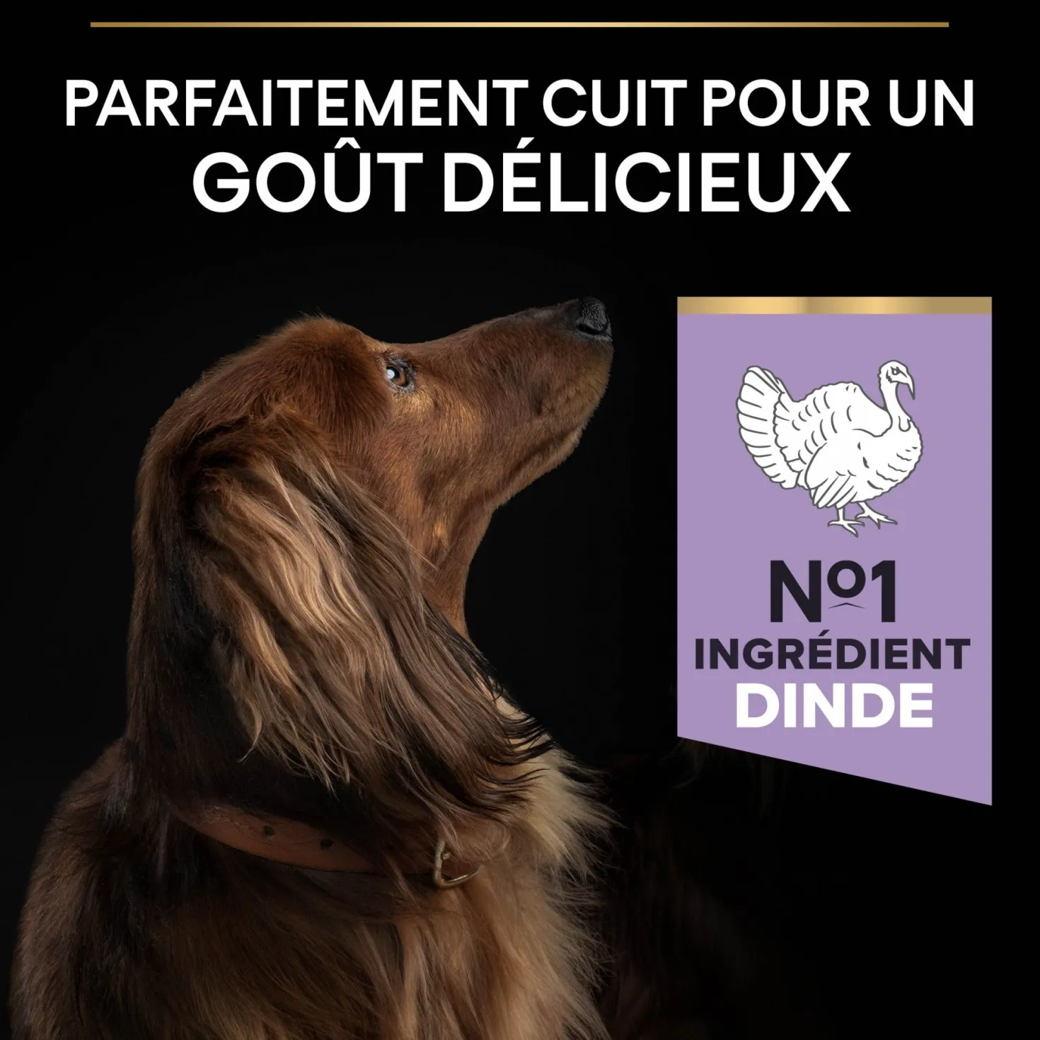Pro Plan Sensitive Digestion No Grain Small & Mini Adult à la dinde - croquettes chien