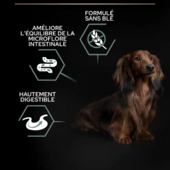 Pro Plan Sensitive Digestion No Grain Small & Mini Adult à la dinde - croquettes chien
