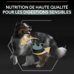 Pro Plan Sensitive Digestion Medium Adult à l'agneau - croquettes chien